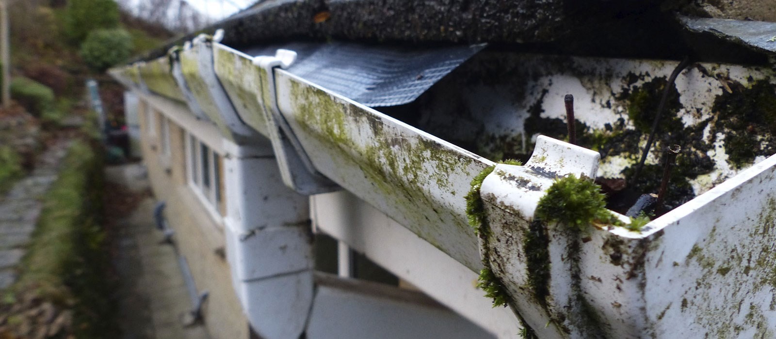 Prepara tu casa para el agua y la lluvia de invierno