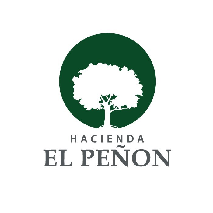 Logo Proyecto