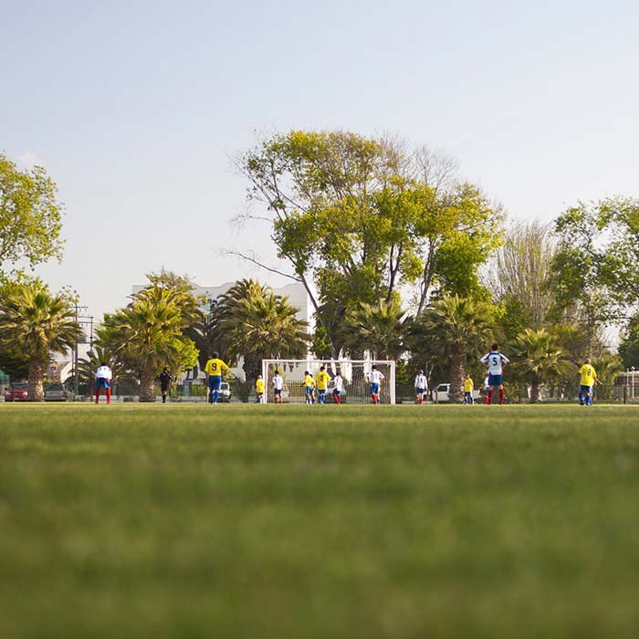 Canchas