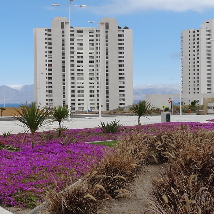 Parque